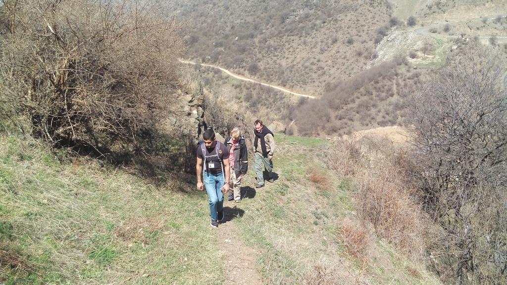 Iris In Debed Canyon 2* Alaverdi