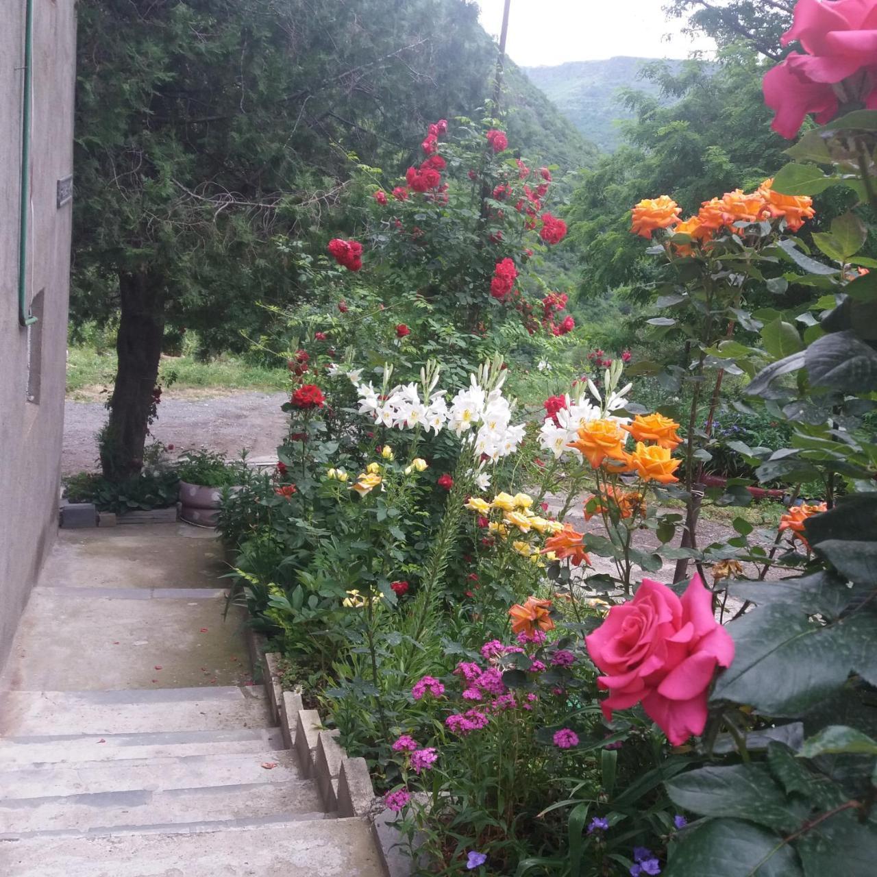 Bed & Breakfast Iris In Debed Canyon Alaverdi