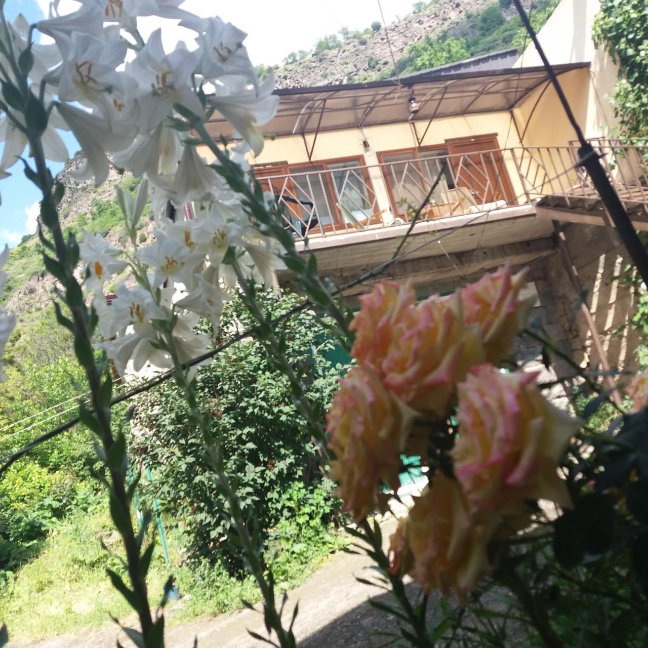 Iris In Debed Canyon Bed & Breakfast
