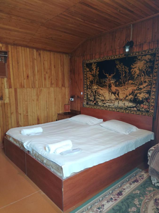 Iris In Debed Canyon Алаверди
